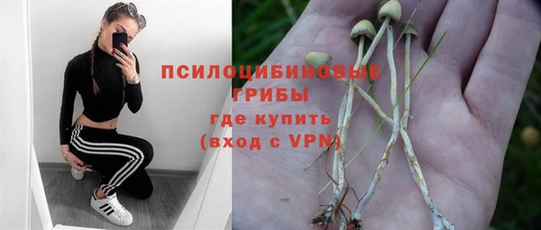 каннабис Михайловка